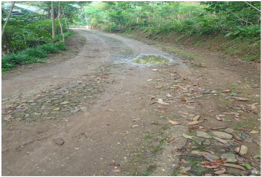 Foto program Dana Rabat Beton Jalan Dusun di Kebumen